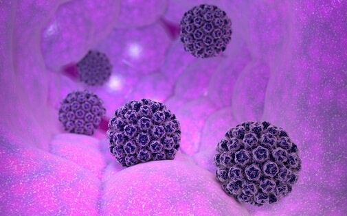 HPV Nedir? Nasıl Bulaşır? Kansere Yol Açar Mı?